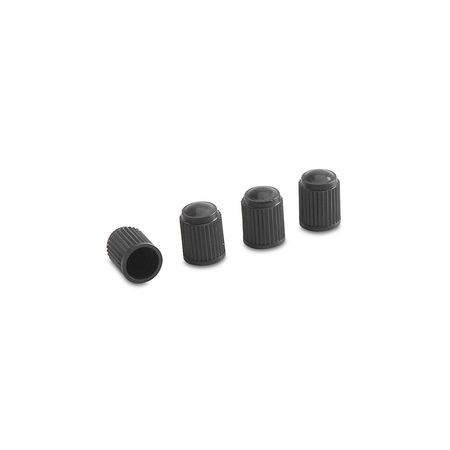 Tapones de Llanta Slime Regulares x4 Plástico Negro