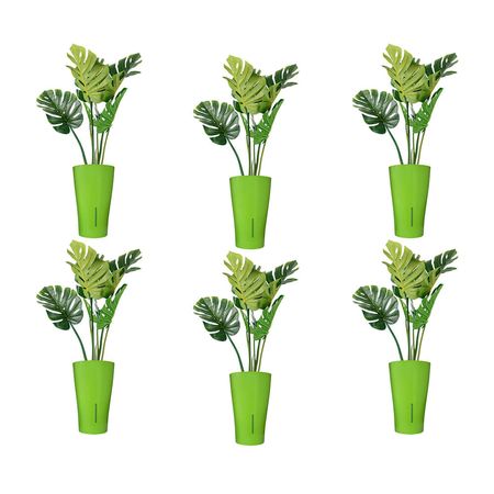 Macetero autorregable x 6 unidades Ferticorp