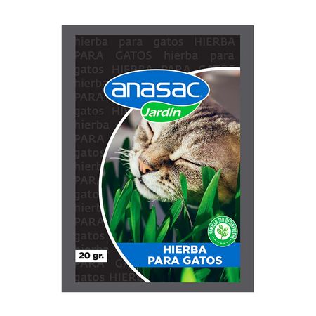 Hierba Hortus para gato