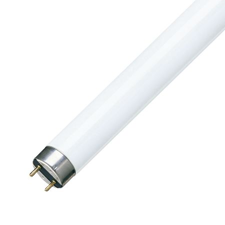 Tubo Fluorescente TLD 36W/54-765 G13 Luz Blanca Philips