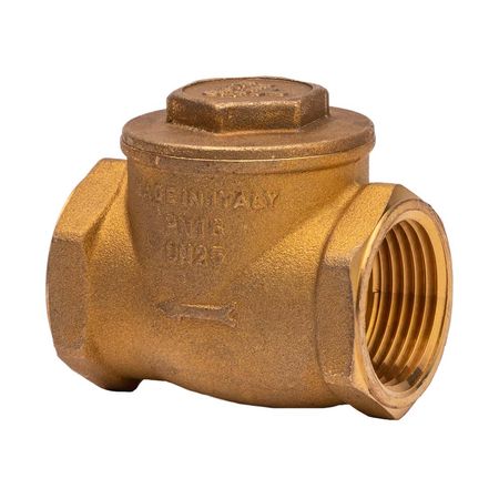 Válvula Check Swing Neoprene Clapet X1