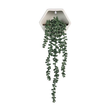 Planta colgante de pared Atmosphera