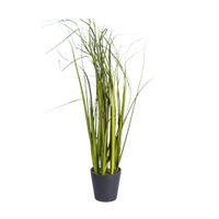 Manojo de hierba en maceta 50cm Atmosphera