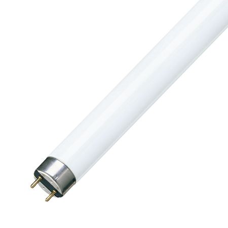 Tubo Fluorescente Súper 80 18W/865 G13 Luz Blanca Philips