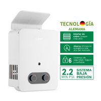 Terma a Gas Bosch GLP Vital 5.5L Baja Presión