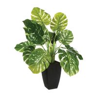 Planta de Cemento Atmosphera Modelo 103166 Verde de 70cm