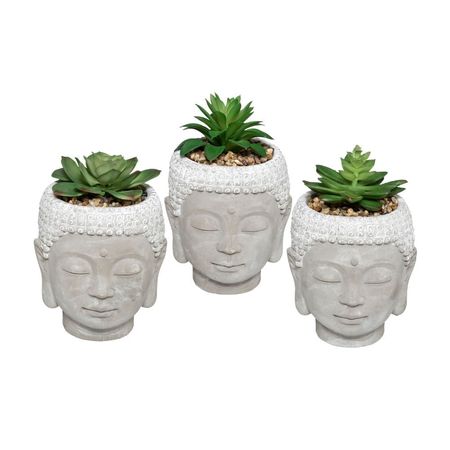 Planta 135cm + Bouddha Cemento Maceta Atmosphera