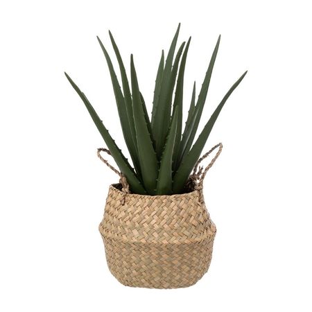 Aloe Vera 37cm + Maceta Natural Atmosphera