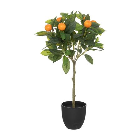 Naranjo 58cm + Maceta de Plástico Atmosphera