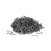 Clavo de Acero Prodac con Cabeza 3/4''x17 mm 250 g Plata
