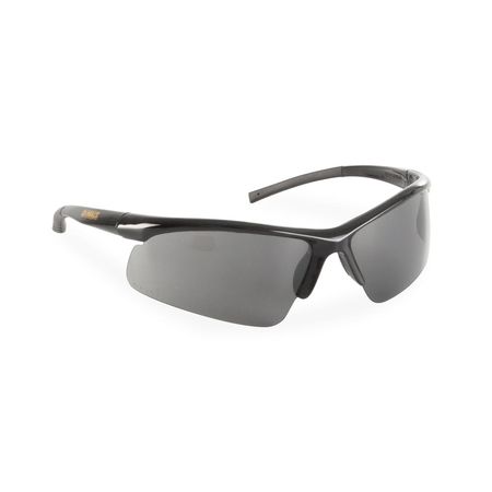 Lentes de Seguridad Dewalt Radius DPG51 Negro