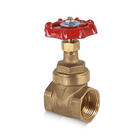 Válvula Compuerta 1