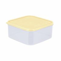 Caja Conservadora Plástica Basa Freezer N°5 de 5 l
