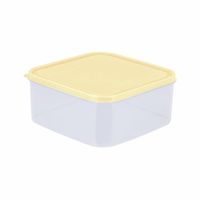 Caja conservadora Freezer N3 Beige Basa