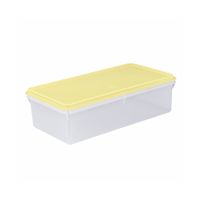 Caja Conservadora Plástica Basa Modelo N° 9 Beige de 25 l