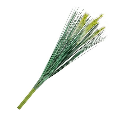 Brezo Blanco 46cm Orange