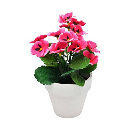 Pensamiento Rosa en maceta 22cm Orange