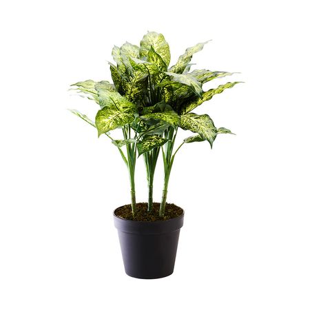 Planta Artificial Dieffenbachia 71cm Orange