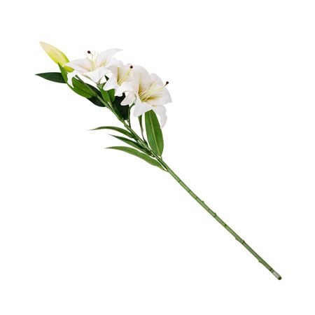 Lirio blanco 91cm Orange