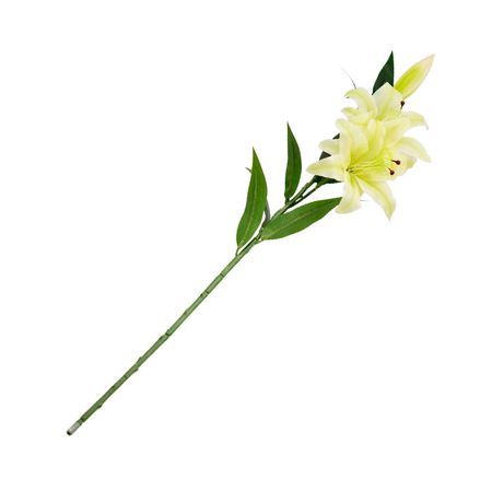 Lirio crema 91cm Orange