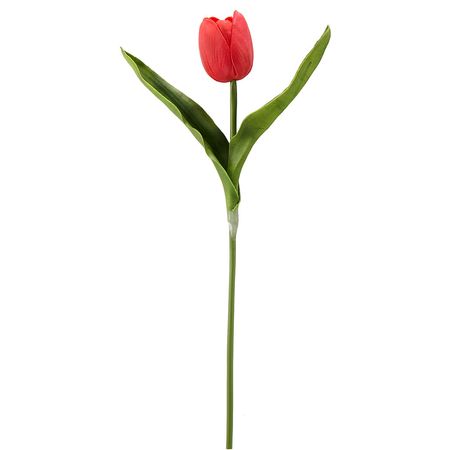 Tulipan rojo 39cm Orange