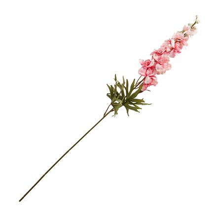 Delphinium rosa 62cm Orange