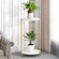 imageUrl_4
