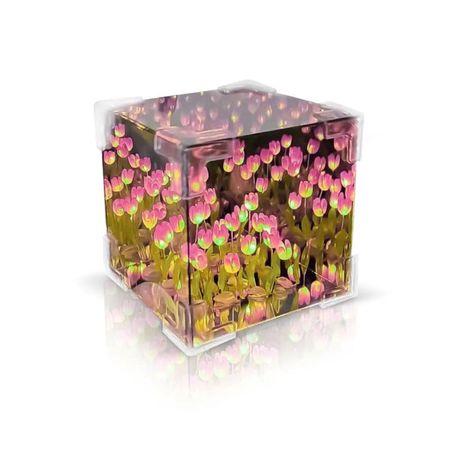 image-d3b0a6702a76456e91425e318389b9d2