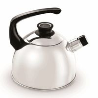 Tetera de Acero Inoxidable Record 1.8 litros Plata Brillante