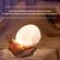 imageUrl_2