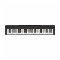 Piano Digital Yamaha P-225B + PA-150