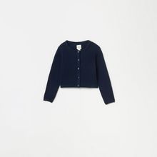 image-1985816b511e44c586eb4bec4f8b44cc