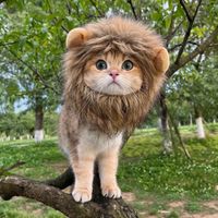 Encantador Disfraz De León Para Gato