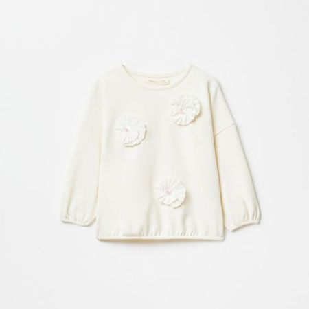 image-fdf3b09035e346cdb998c9ac7c4e39b9