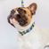 imageUrl_4