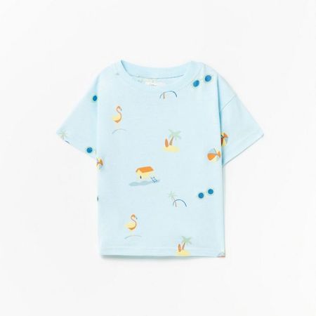 image-6a55c5fed10846db9c06a48b98acd5ed