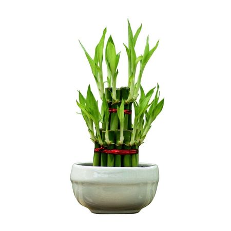 image-ff3127f10984473990cd7bb8615e68fc