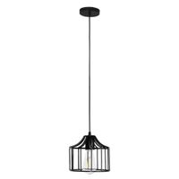 Lámpara De Techo Jaula 1 Luz