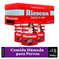 Pack Caja x15 Comida Húmeda Perro Ricocan Cordero 100gr