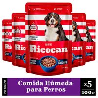 Pack x5 Comida Húmeda Perro Ricocan Trocitos Cordero 100gr