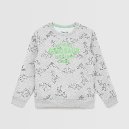 Polera Para Niño Circus Promo Gris Talla 6