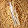 imageUrl_5