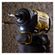 imageUrl_7