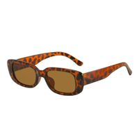 Gafas Lentes de Sol Vintage Maryorie Marrón con Estuche