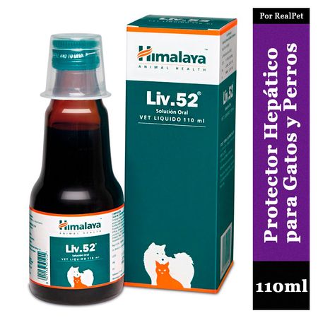 image-070ebc81483144cbb2d48057ebd14484