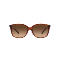 Lentes de Sol Mujer Coach 0HC8361F - Marron