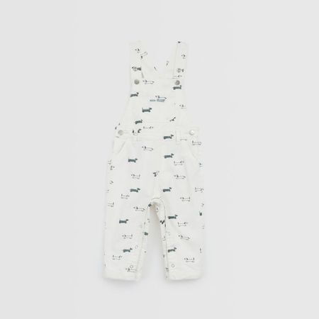 image-40244171ddf648baa4f89d2a231fe85c