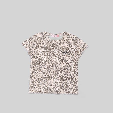 image-5e09566f5cf0446f8a54a4eb05635ffc