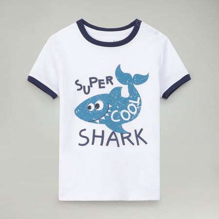 image-42ea845e957d49c4850e60613219ac8d