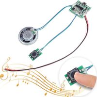 Módulo de control de sonido con botón programable